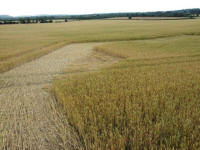 Cley Hill, Wiltshire crop circle, aerial photo 59